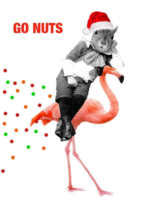 8920-go-nuts-christmas-greeting-card-5060583436202-22010225233-2.jpg
