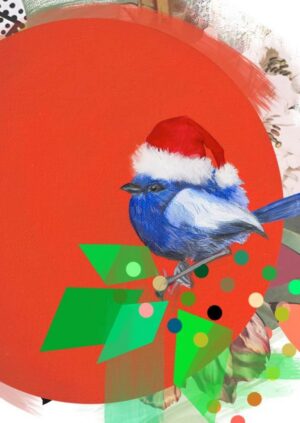 Fairywren Christmas