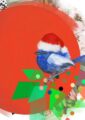8934-fairywren-christmas-5060583436325-3729708712000-2.jpg