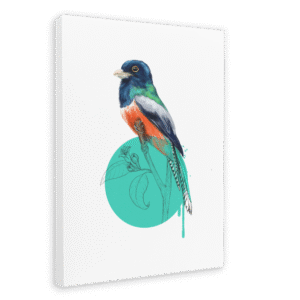 Blue Crowned Trogon Canvas Print