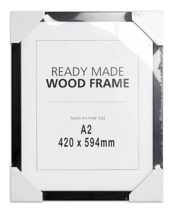 A2BlankPictureFrameReadytoHang-4.png