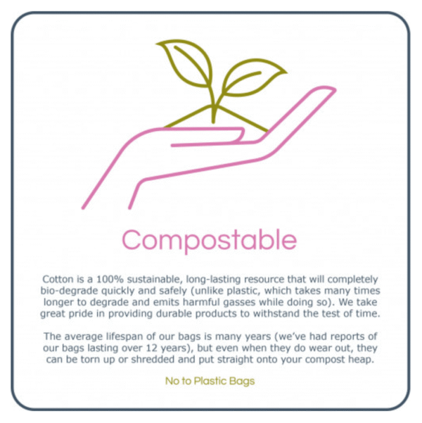 Arc2024-10-1513.02.15-2.png