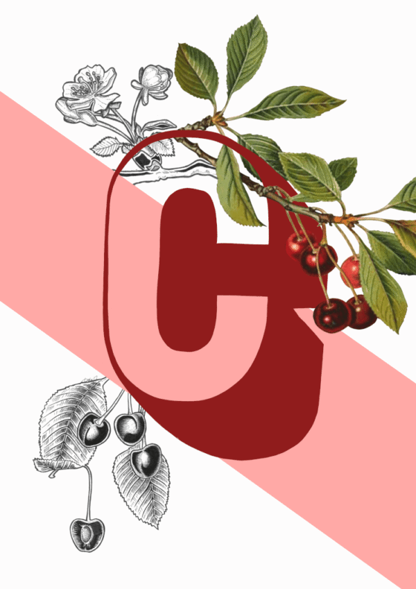 BotC_b38ef709-4b32-49e0-b030-049c1f00d0ee-4.png BotC_b38ef709-4b32-49e0-b030-049c1f00d0ee-4.png