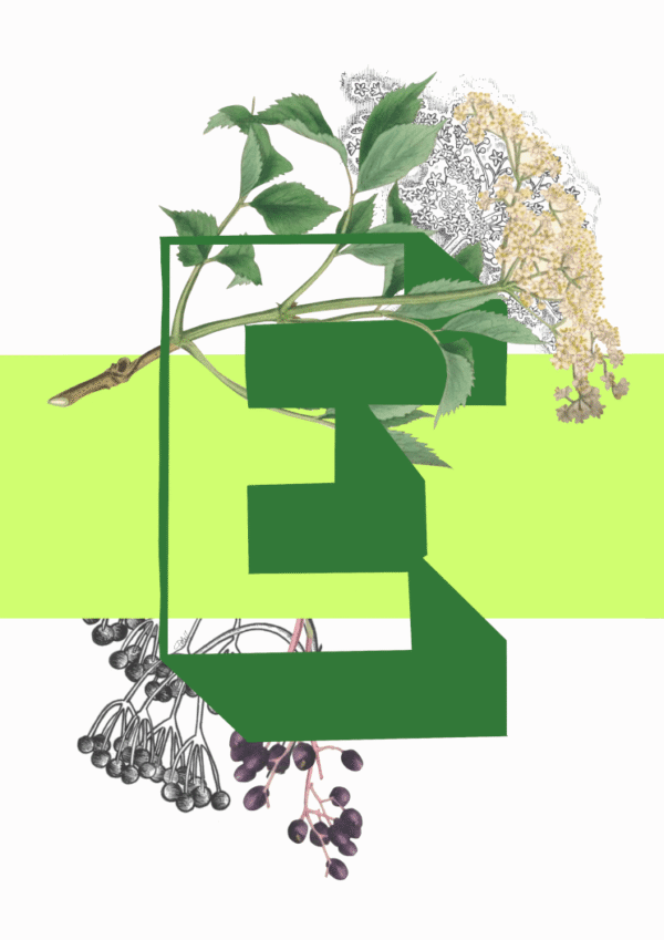 BotE_3b4383ad-2298-4088-ba71-c2e23d904784-4.png BotE_3b4383ad-2298-4088-ba71-c2e23d904784-4.png