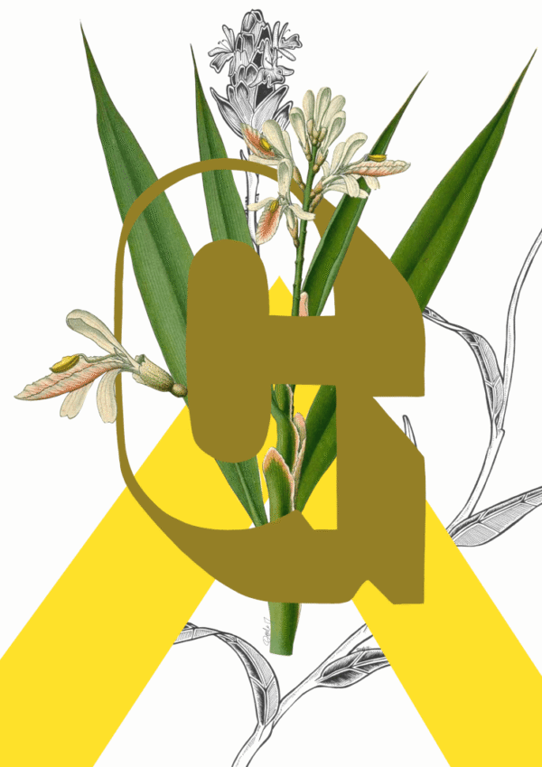 BotG_f94698f3-0efc-48f3-82e7-ea1208d62e50-4.png BotG_f94698f3-0efc-48f3-82e7-ea1208d62e50-4.png