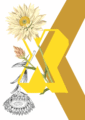 BotX_b620fea3-22a2-40f5-b79c-cd0c59ebea0c-1.png