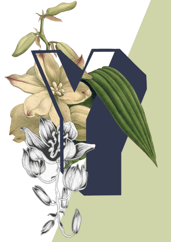 BotY_6a4055d2-e027-4837-9155-b1825b7dc57a-1.png BotY_6a4055d2-e027-4837-9155-b1825b7dc57a-1.png