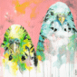 Budgies_8_inch_b7b43338-aae5-45fd-8851-f4348ddd40c0-3.png
