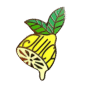 JuicyLemonpin-2.png