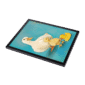 LuckyDucksinFrame-2.png