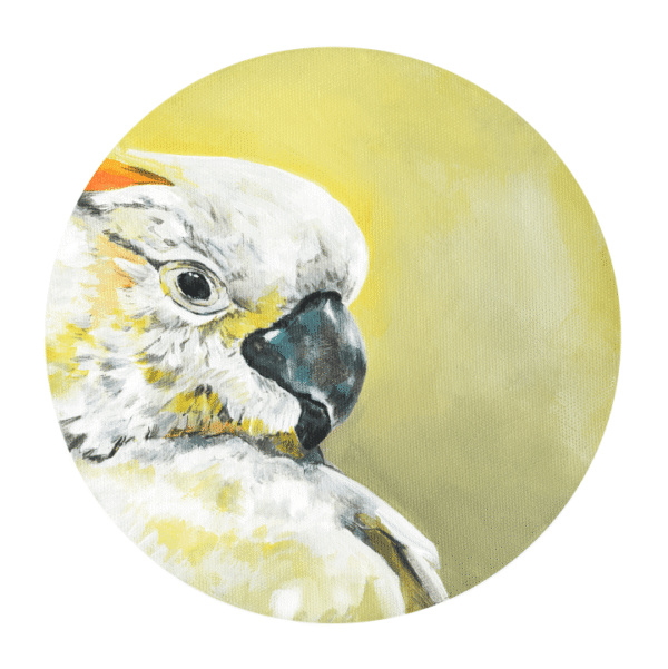 Sulphur_Crested_98bb607e-e7ce-4630-b445-51b232a38b62-3.png