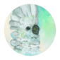 Umbrella_feafc7af-4942-4018-91b7-e08d586ad6f5-3.png