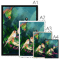 a-fandango-of-finches-framed-print-31613878632604-4.png