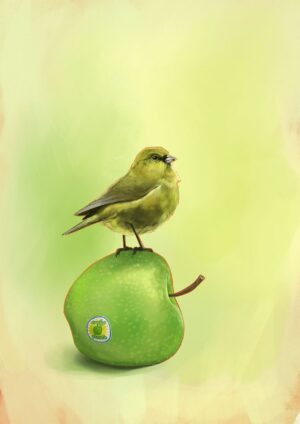 Apple Akekee Giclée Art Print