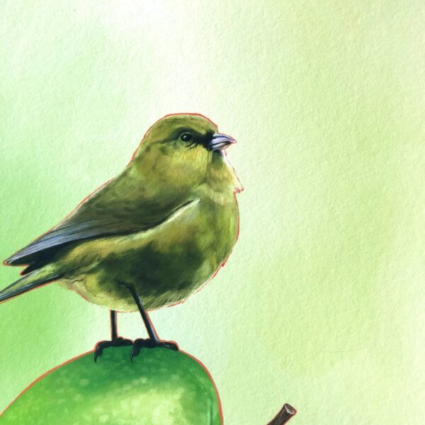 apple-akekee-giclee-art-print-31540325646492-2.jpg