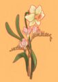 april-giclee-print-gift-card-set-30273635385500-2.jpg