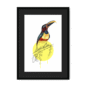aracari-bird-bf-bm-8.png