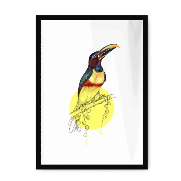 aracari-bird-bf-wm-8.png