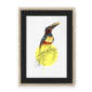 aracari-bird-nf-bm-8.png