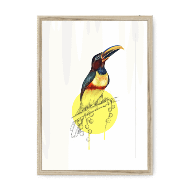 aracari-bird-nf-wm-8.png