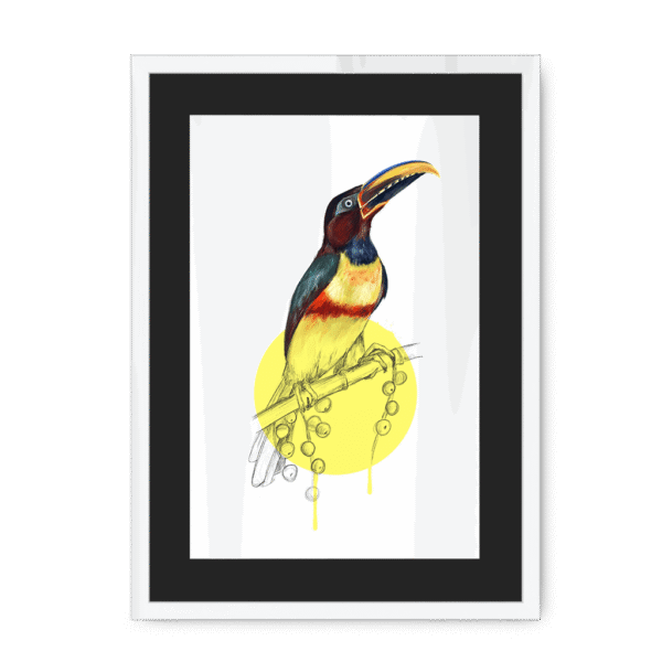 aracari-bird-wf-bm-8.png