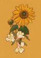 august-giclee-print-gift-card-set-30274319548572-3.jpg