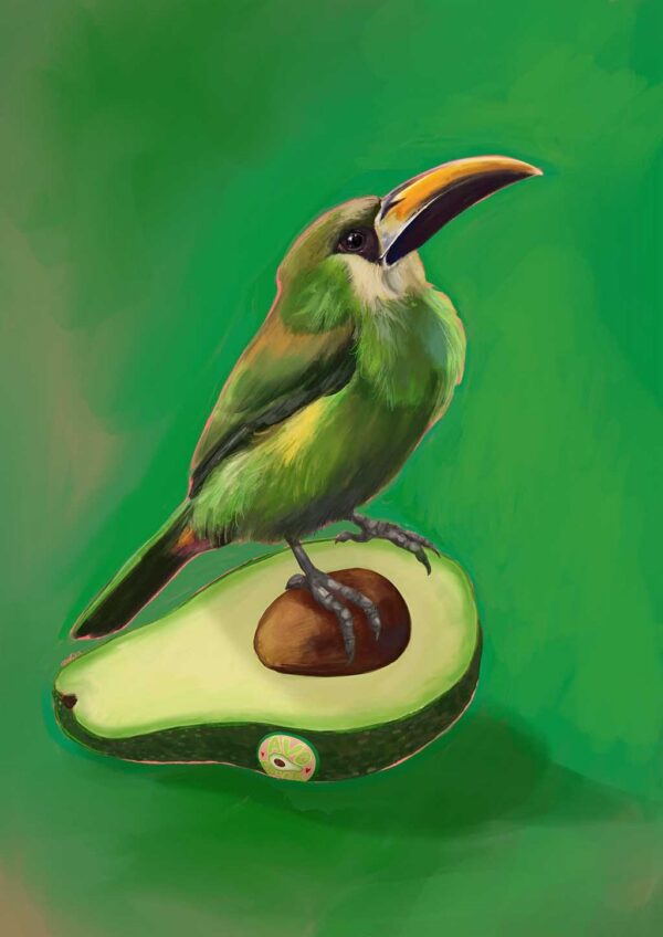 avocado-aulacorhynchus-green-toucanet-giclee-art-print-39061158297849-2.jpg avocado-aulacorhynchus-green-toucanet-giclee-art-print-39061158297849-2.jpg