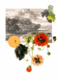 b17348ed8a392dd4e2e0336cdd7993ad9c8b4da5_3873bade-5a91-4712-8b3e-d97df1a36e1e-3.png