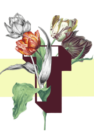 Botanical Alphabet T Matte Art Print
