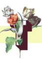 b7ed6227ee0e76baff33deddc4d92a9172ee32cb_8a7912fc-2a44-4858-8698-c3f4ac6d1335-3.png