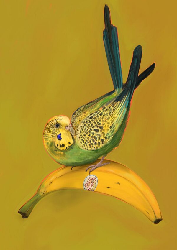 banana-budgie-giclee-art-print-37653515567353-2.jpg banana-budgie-giclee-art-print-37653515567353-2.jpg