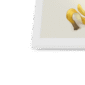 banana-gull-framed-print-31597746716828-3.png