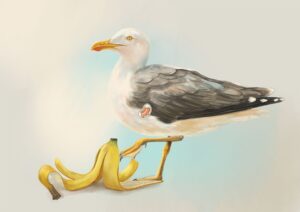 Banana Gull Giclée Art Print