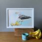 banana-gull-giclee-art-print-31540305723548-3.jpg