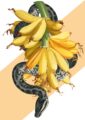 banana-snake-matte-art-print-16949546320028-3.jpg