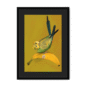banana-yellow-budgie-bf-bm-12.png