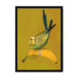 banana-yellow-budgie-bf-nom-15.png