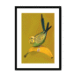 banana-yellow-budgie-bf-wm-12.png