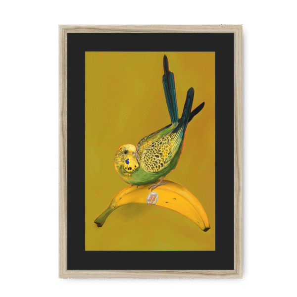 banana-yellow-budgie-nf-bm-12.png