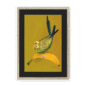 banana-yellow-budgie-nf-bm-12.png
