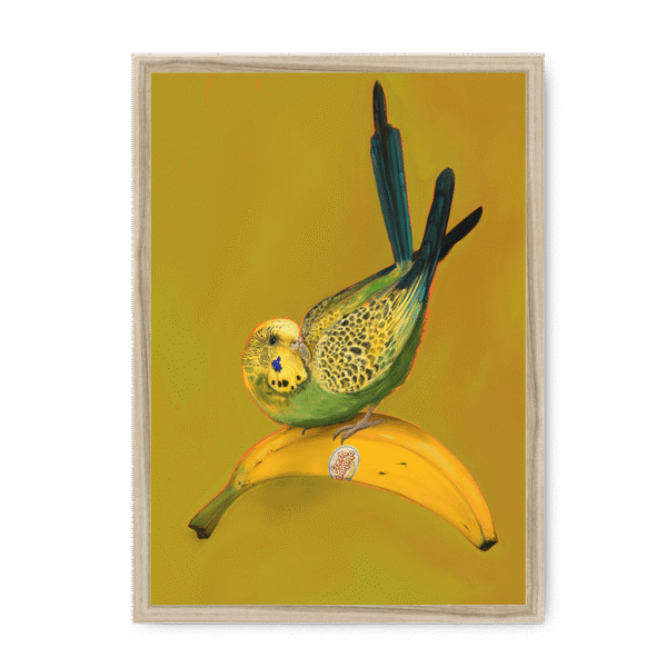 banana-yellow-budgie-nf-nom-15.png