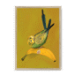 banana-yellow-budgie-nf-nom-15.png