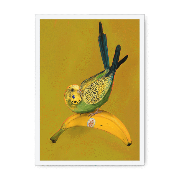 banana-yellow-budgie-wf-nom-15.png