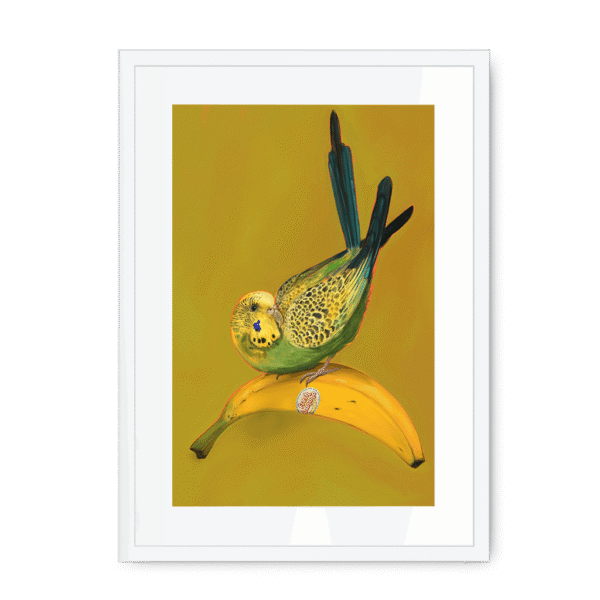 banana-yellow-budgie-wf-wm-12.png