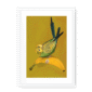 banana-yellow-budgie-wf-wm-12.png