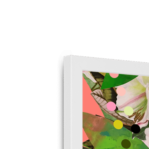 beaky-botanicals-framed-print-29154655338652-1.png