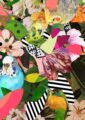 beaky-botanicals-matte-art-print-16949529346204-2.jpg