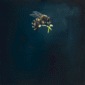 bee-giclee-art-print-17091629940892-3.png