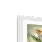 big-cat-tropicana-framed-print-31620034756764-5.png
