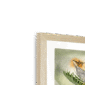 big-cat-tropicana-framed-print-31620034855068-5.png
